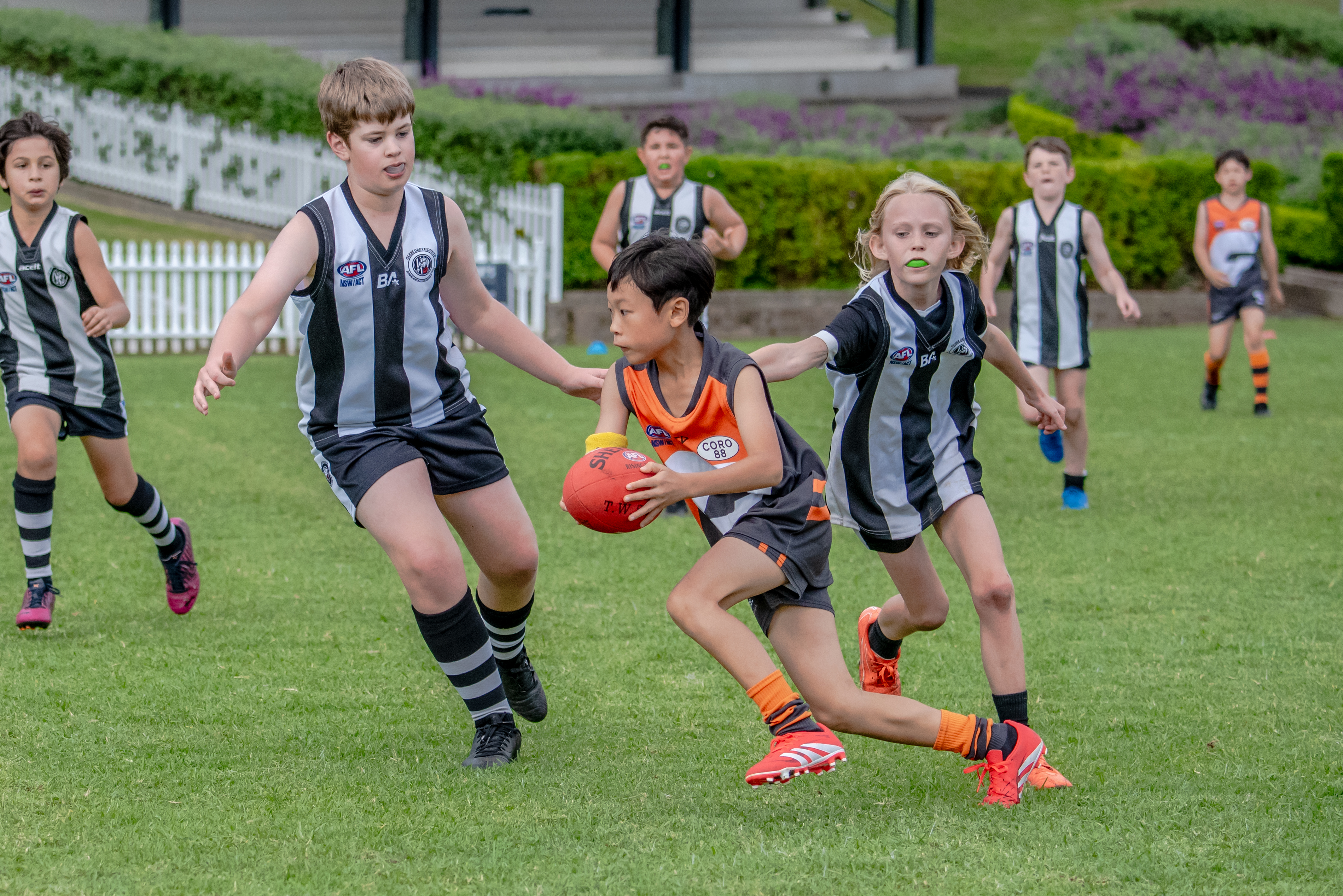 Image for Junior AFL